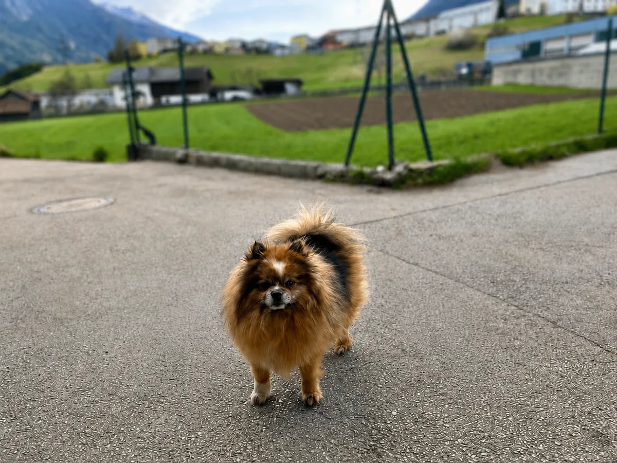 Coockie, Sekretär